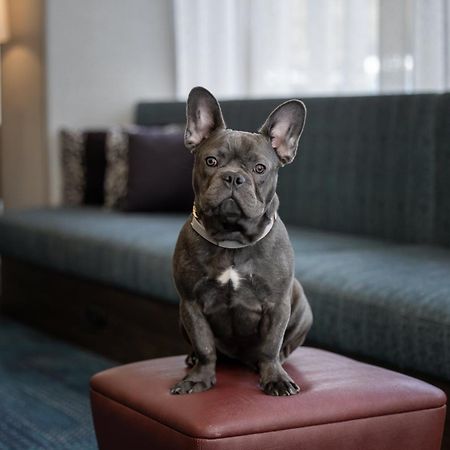 Hampton Inn Cleveland-Downtown Екстериор снимка